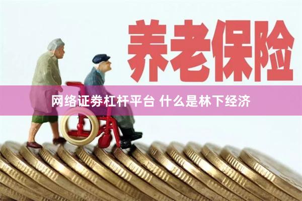 网络证劵杠杆平台 什么是林下经济