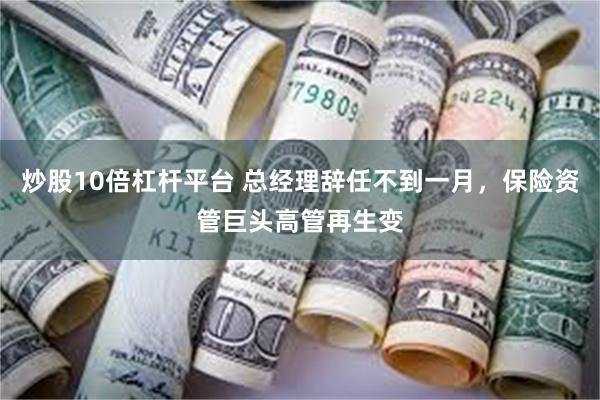 炒股10倍杠杆平台 总经理辞任不到一月，保险资管巨头高管再生变