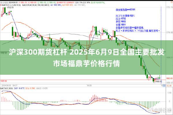 沪深300期货杠杆 2025年6月9日全国主要批发市场福鼎芋价格行情