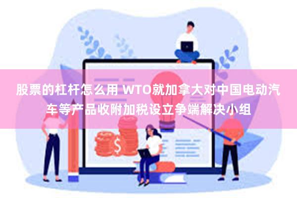 股票的杠杆怎么用 WTO就加拿大对中国电动汽车等产品收附加税设立争端解决小组
