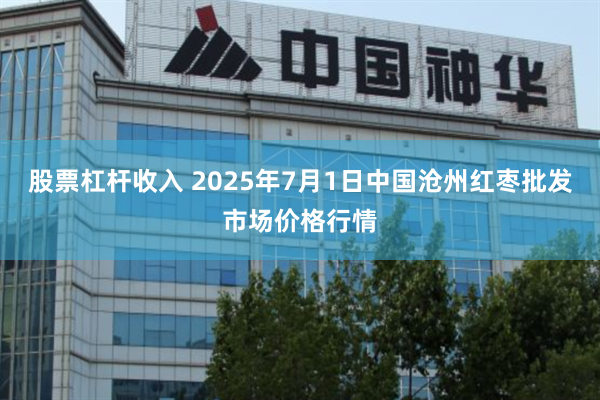 股票杠杆收入 2025年7月1日中国沧州红枣批发市场价格行情